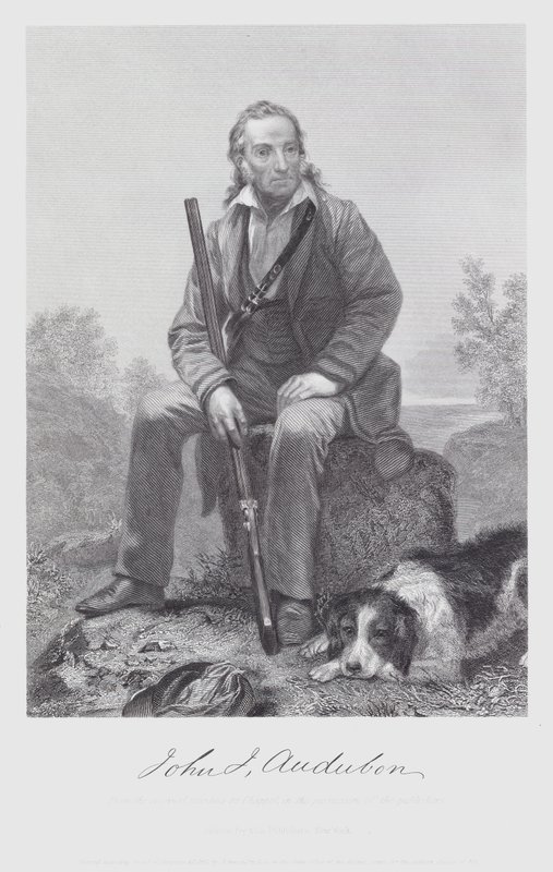 John James Audubon (rytina) od Alonzo (after) Chappel