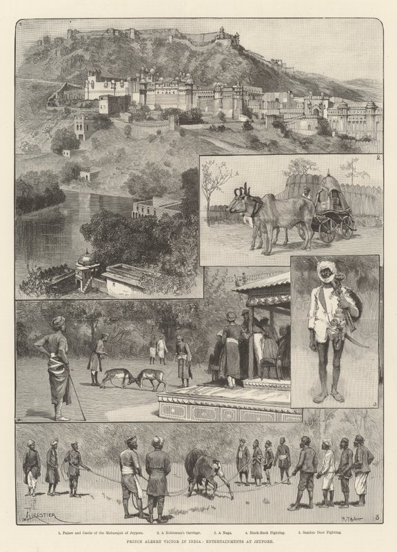 Prince Albert Victor v Indii, Zábava v Jeypore od Amedee Forestier