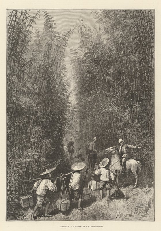 Skici ve Formose, v bambusovém lese od Amedee Forestier