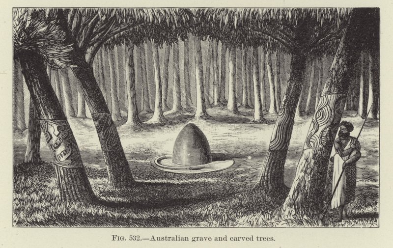 Australský hrob a vyřezávané stromy od American School