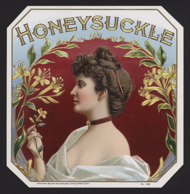 Zimolez (chromolitho) od American School