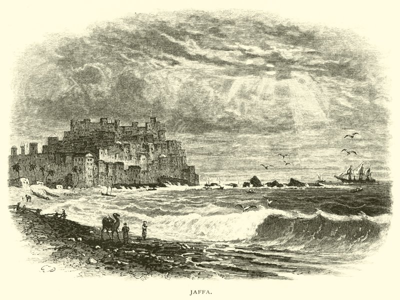 Jaffa od American School
