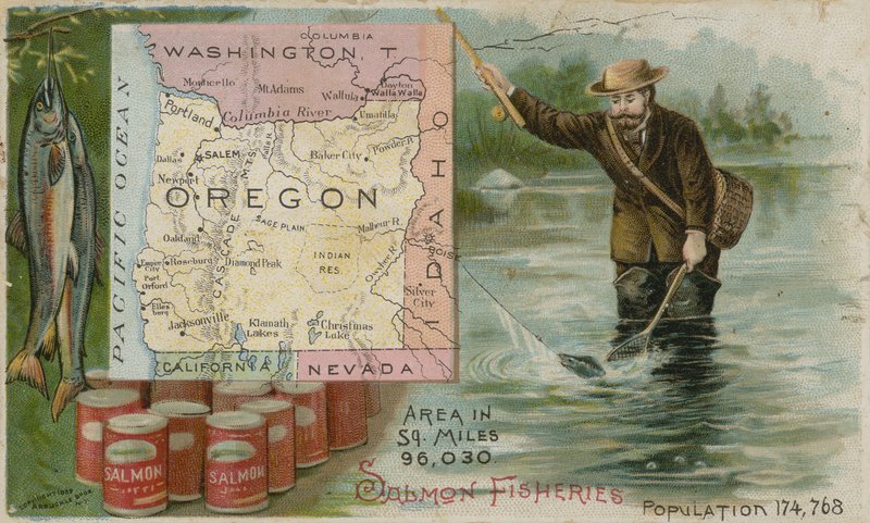 Oregon - Lov lososů od American School