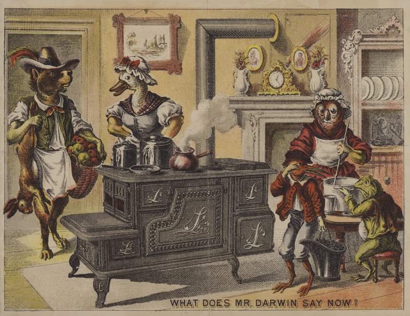 Co teď říká pan Darwin? (chromolitho) od American School