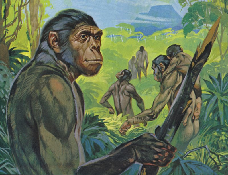 Pithecanthropus (barevná litografie) od Angus McBride