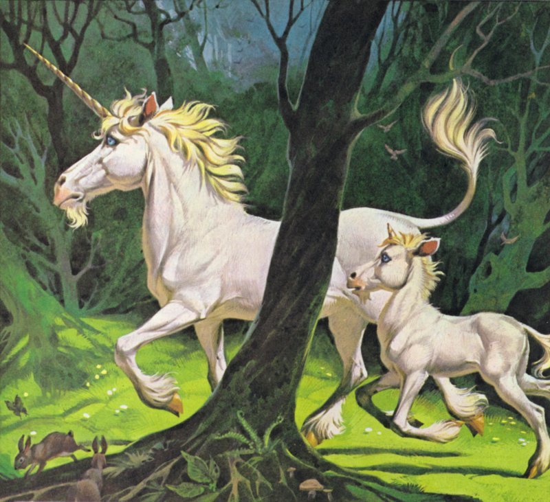 Jednorožci (barevná litografie) od Angus McBride