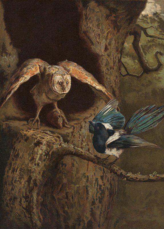 Vtip a moudrost od Arthur Charles Dodd
