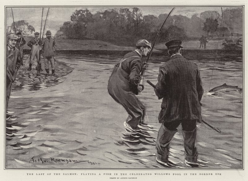 The Last of the Salmon, hrající rybu v Celebrated Willows Pool v Border Esk od Arthur Rackham