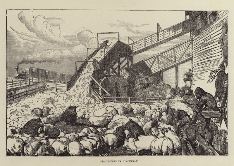 Jízda prasat v Cincinnati od Arthur Boyd Houghton