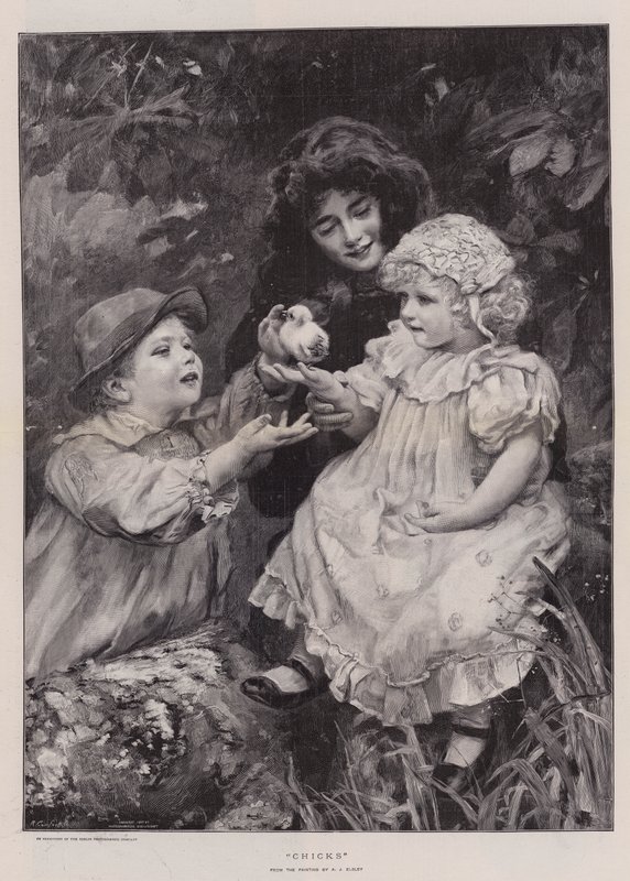 Kuřátka (rytina) od Arthur John Elsley