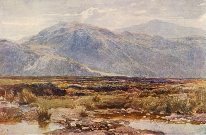 Cader Idris (barevná litografie) od Augustus Watford Weedon