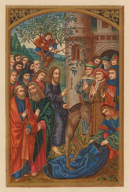 Hosanna Filio David (chromolitho) od Austrian School