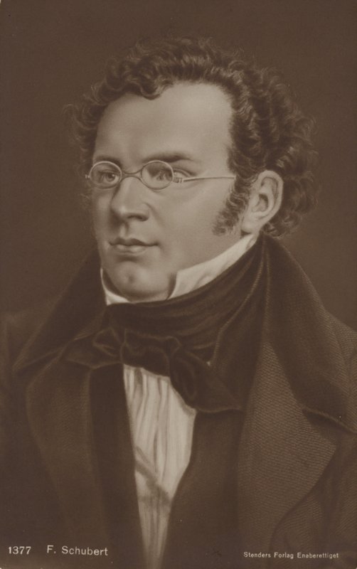Portrét Franze Schuberta od Austrian School