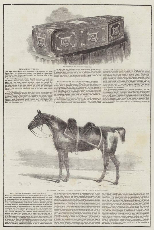 vévoda z Wellingtonu od Benjamin Herring