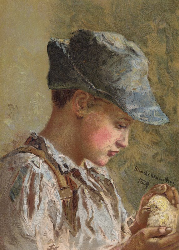 Silný a něžný od Blanche F. MacArthur