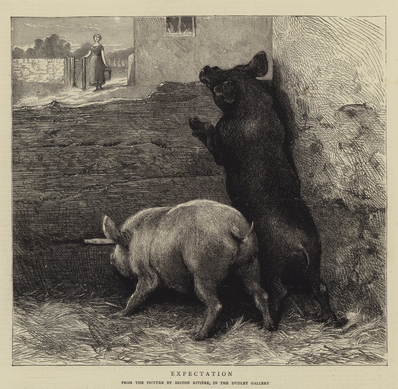 Očekávání od Briton Riviere