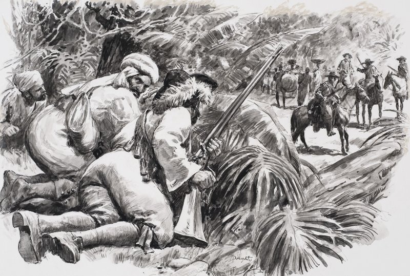 Ozbrojenci v džungli od C.L. Doughty