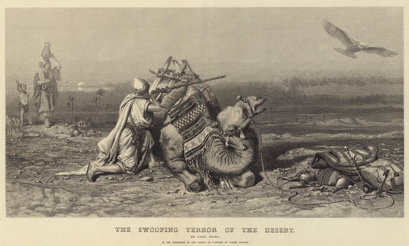Swooping Terror of the Desert od Carl Haag