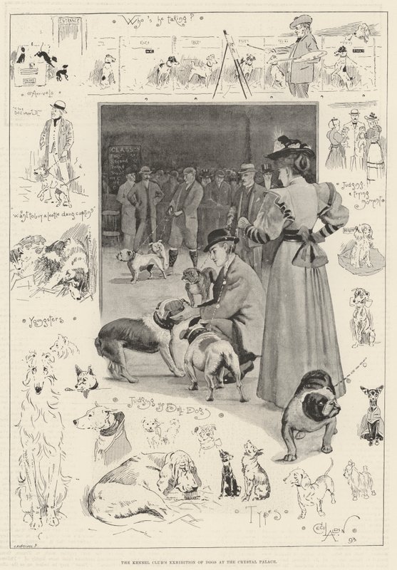 Výstava psů Kennel Clubu v Crystal Palace od Cecil Charles Windsor Aldin