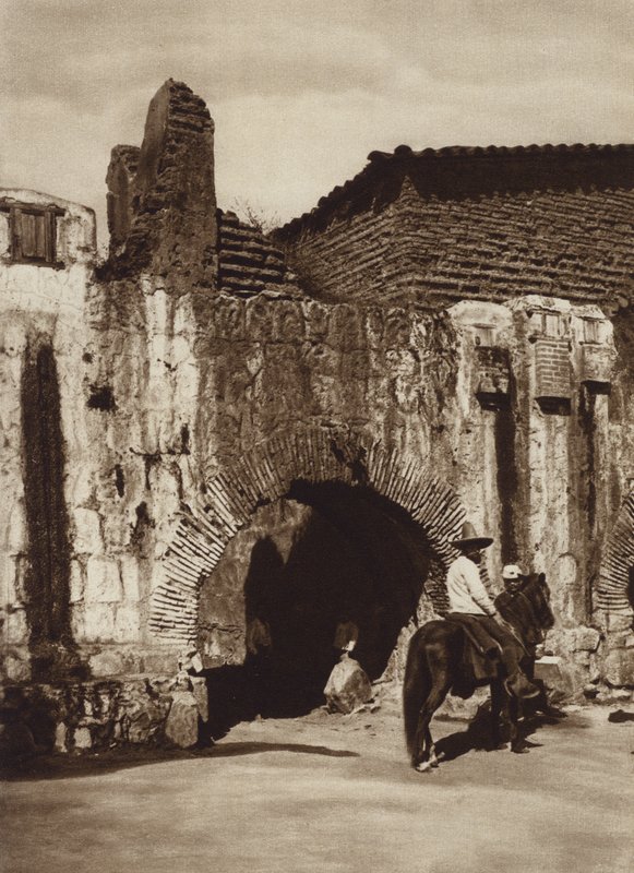 Mexiko: Oaxaca, Tuberia espanola (černobílá fotografie) od Cecile Seler Sachs