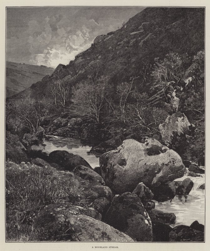 Moorland Stream od Charles Auguste Loye