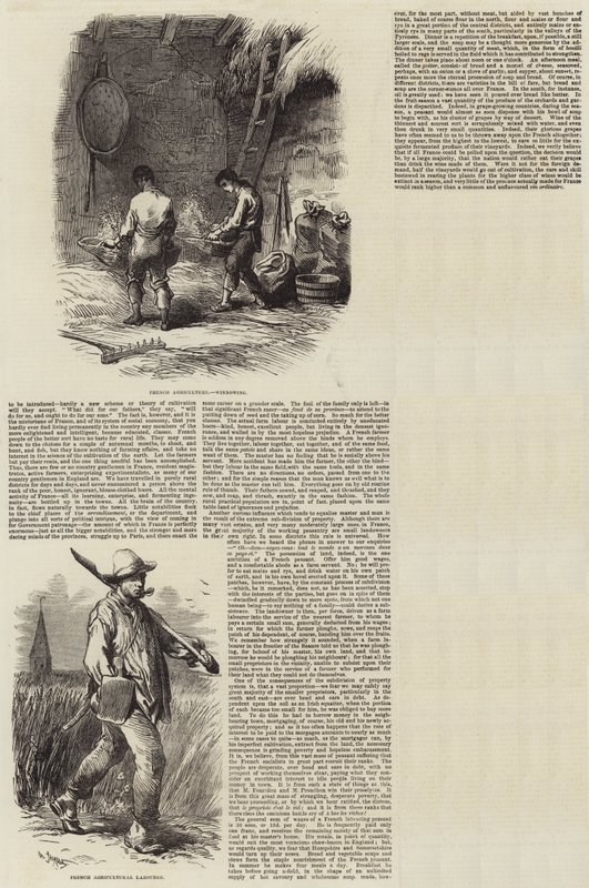 Zemědělství ve Francii od Charles Emile Jacque