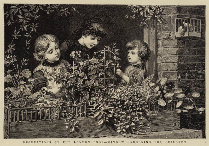 Recreations of the London Poor, Window Gardening for Children od Charles J. Staniland