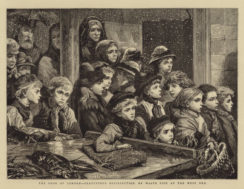 The Poor of London, bezúplatná distribuce odpadních ryb na West Endu od Charles J. Staniland