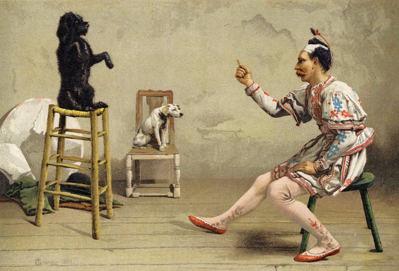 Povinné vzdělávání od Charles MacIvor or MacIver Grierson