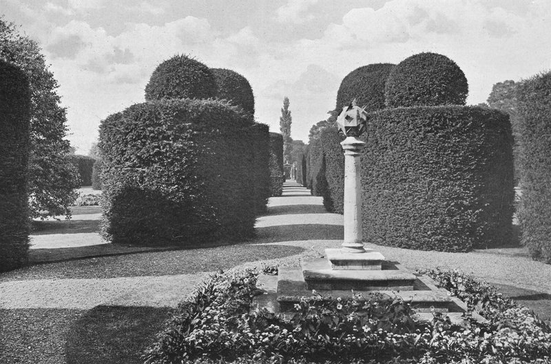 Heslington Hall: Shapely Topiary Work od Charles Latham