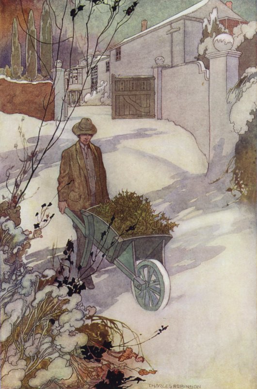 Naše sentimentální zahrada: zima (barva lito) od Charles Robinson