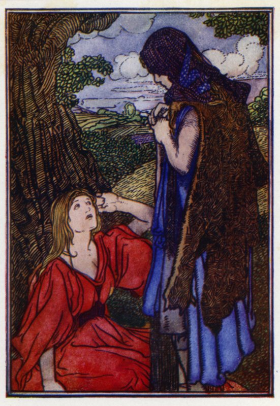 Dobrotivá žába (barva litho) od Charles Robinson