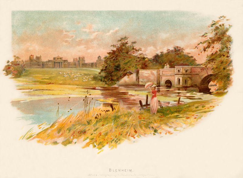 Blenheim od Charles Wilkinson