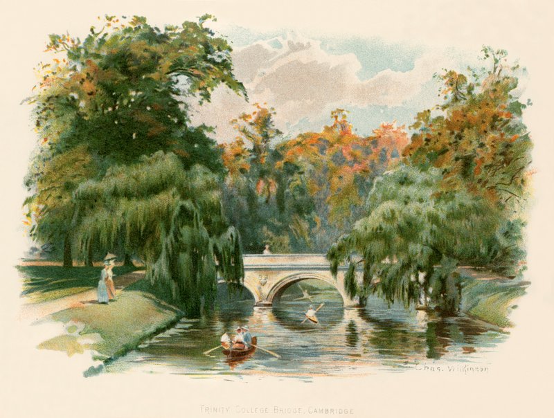 Most Trinity College, Cambridge od Charles Wilkinson
