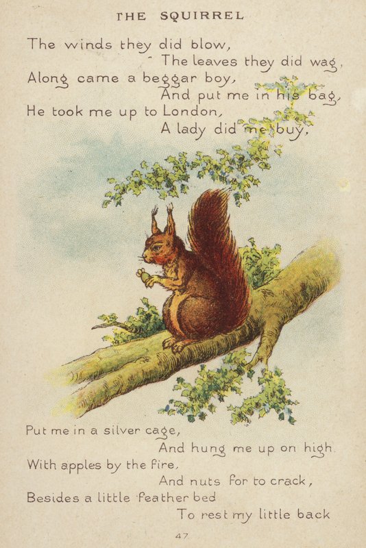 Říkanka: The Squirrel (chromolitho) od Constance Haslewood