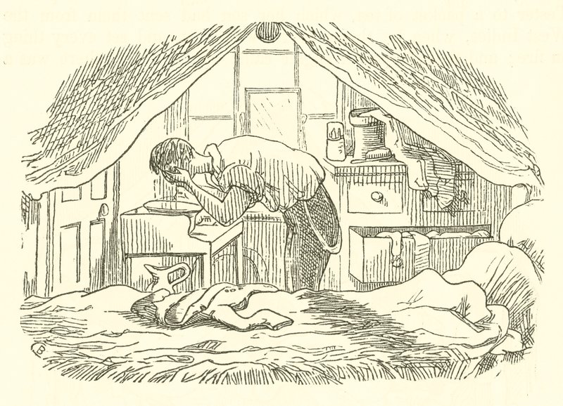 Mytí od Cuthbert Bede
