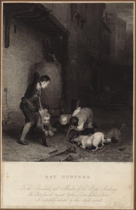 Lovci krys od David Wilkie