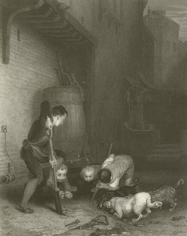 Lovci krys od David Wilkie