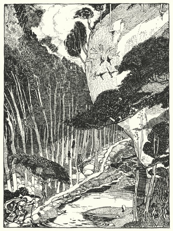 The Dim Forest (rytina) od Dion Clayton Calthrop