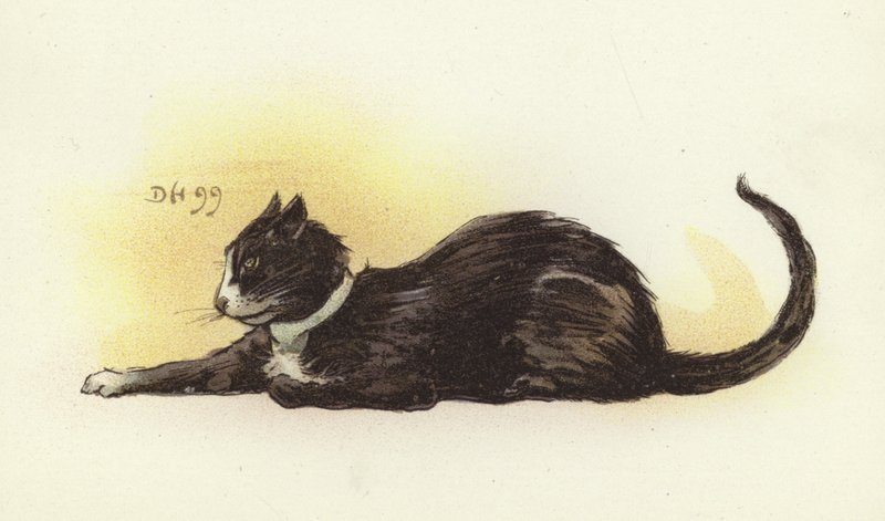Savoy Cat od Dudley Hardy