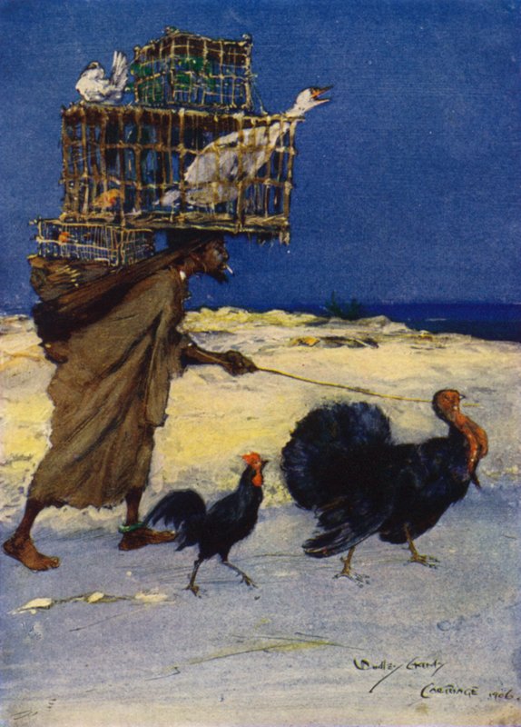The Bird Fancier, Kartágo, Tunisko od Dudley Hardy
