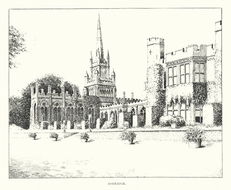Ashridge (litografie) od Duncan Moul