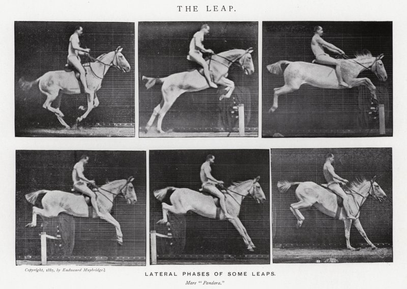 Eadweard Muybridge: The Leap (černobílá fotografie) od Eadweard Muybridge