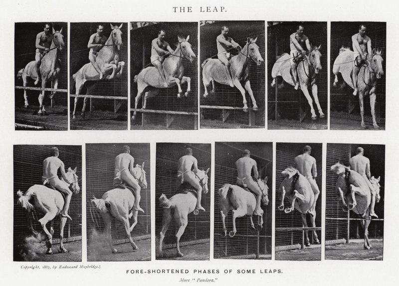 Eadweard Muybridge: The Leap (černobílá fotografie) od Eadweard Muybridge