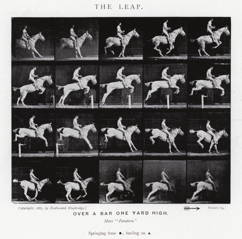 Eadweard Muybridge: The Leap (černobílá fotografie) od Eadweard Muybridge
