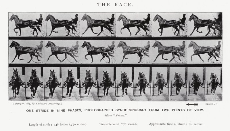 Eadweard Muybridge: The Rack (černobílá fotografie) od Eadweard Muybridge