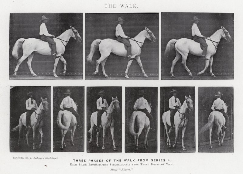 Eadweard Muybridge: The Walk (černobílá fotografie) od Eadweard Muybridge