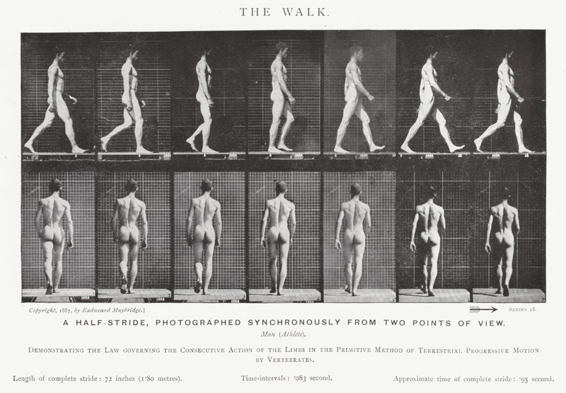 Eadweard Muybridge: The Walk (černobílá fotografie) od Eadweard Muybridge
