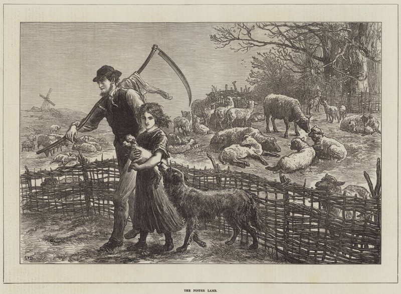 Foster Lamb od Ebenezer Newman Downard