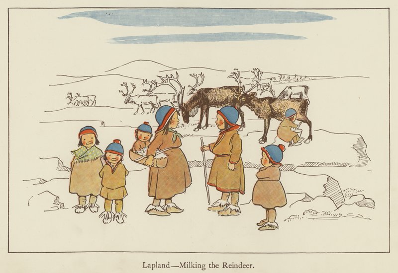 Laponsko, dojení sobů od Edith Farmiloe